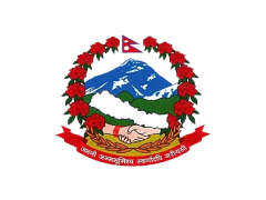 Department of Information Technology