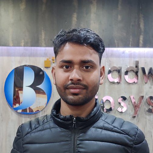 Mr. Rabibhusan Yadav